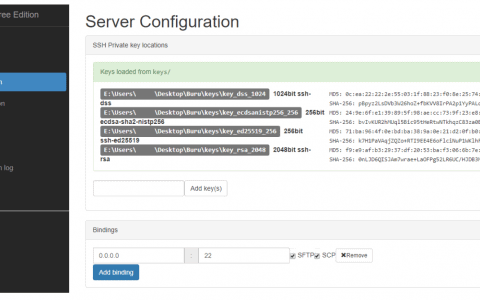 Buru SFTP Server Review