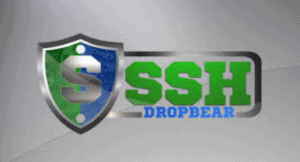 dropbear ssh scp