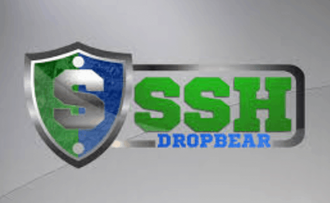 dropbear ssh 2013.69 vulnerabilities