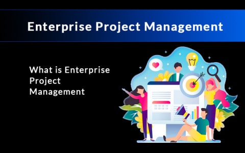 enterprise project management