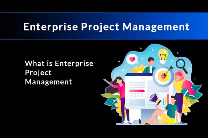 what-is-enterprise-project-management-software-portal