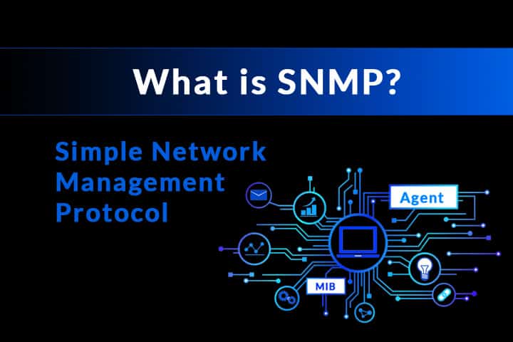 Simple network. DT Protocol Manager. Development Agency Protocol.